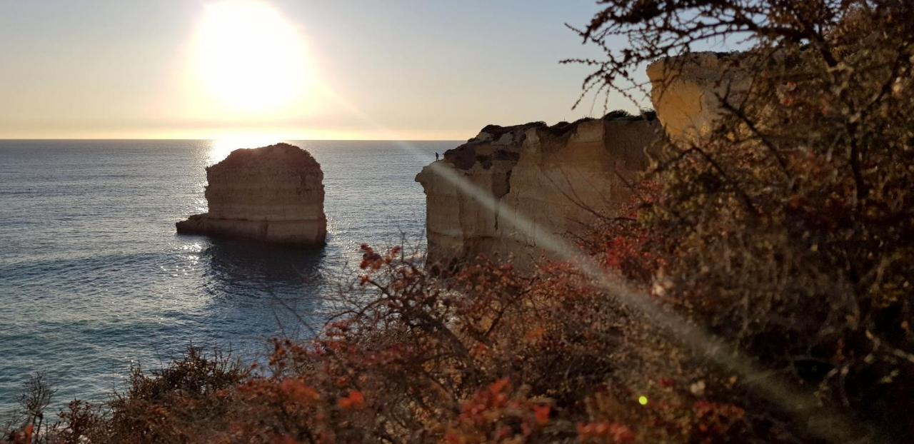 Magnific Studio With A Cozy Garden, 5 Minutes To The Beach Albufeira Exterior foto