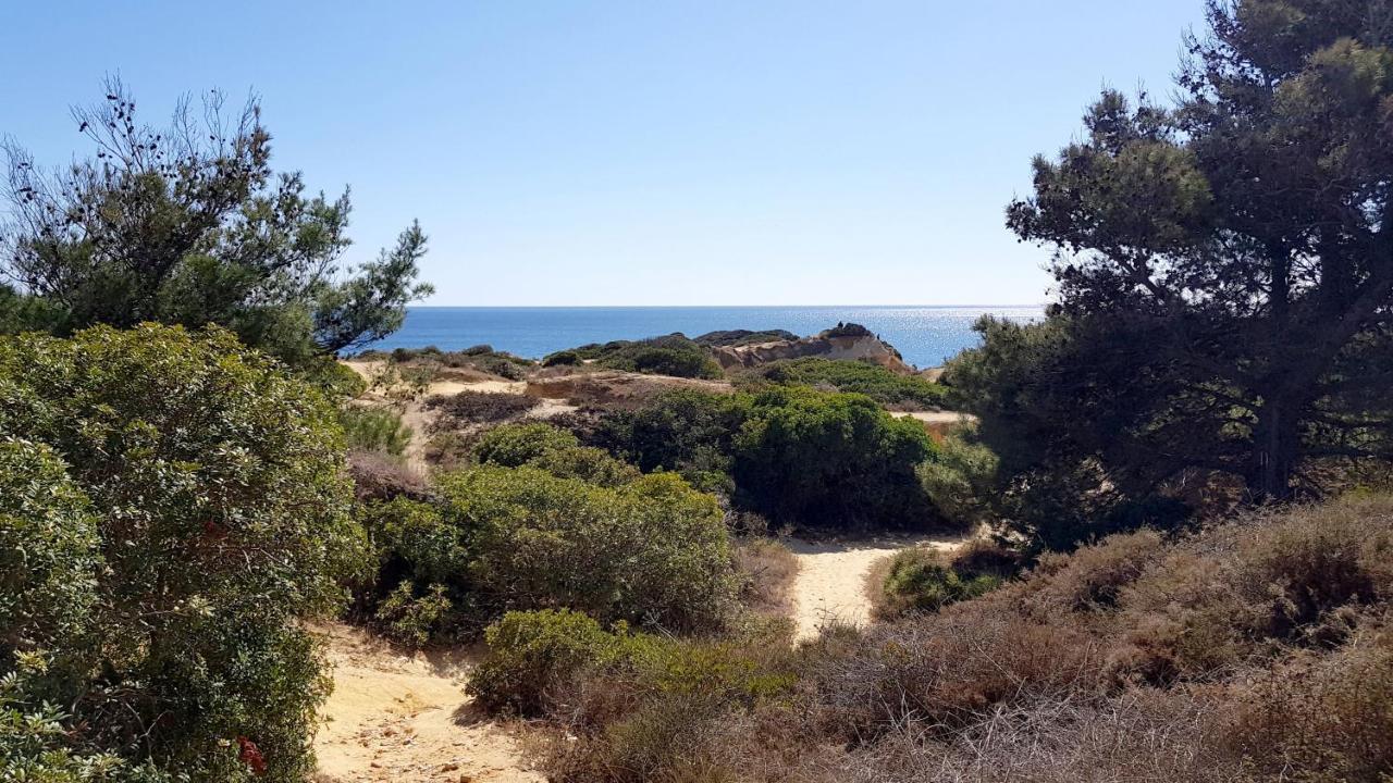 Magnific Studio With A Cozy Garden, 5 Minutes To The Beach Albufeira Exterior foto