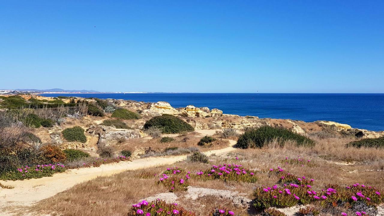 Magnific Studio With A Cozy Garden, 5 Minutes To The Beach Albufeira Exterior foto