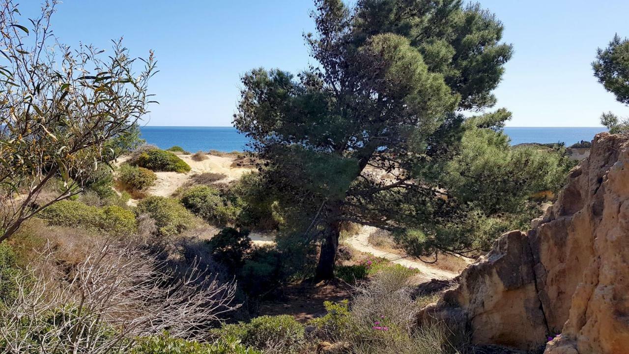 Magnific Studio With A Cozy Garden, 5 Minutes To The Beach Albufeira Exterior foto